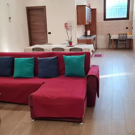 Dasylirion Vacanze Cursi