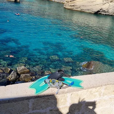 Πανσιόν Dasylirion Vacanze